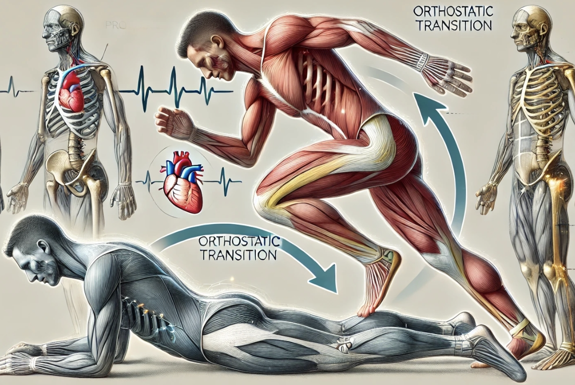 Fisioterapia e Reabilitação Física